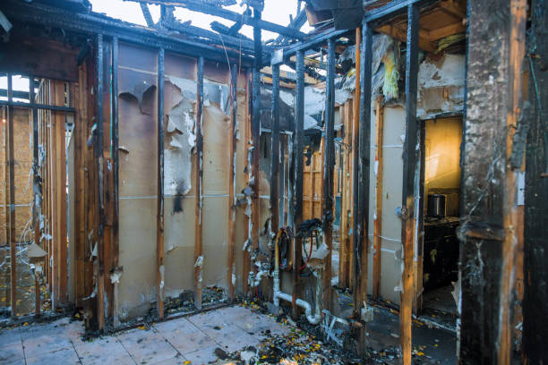 Professional Fire Damage Repair technician working in Gonzales, CA